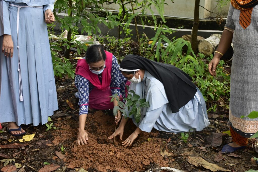 Plating of sapling on Environment Day